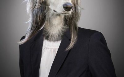 Leadership Styles and Organizational Changes